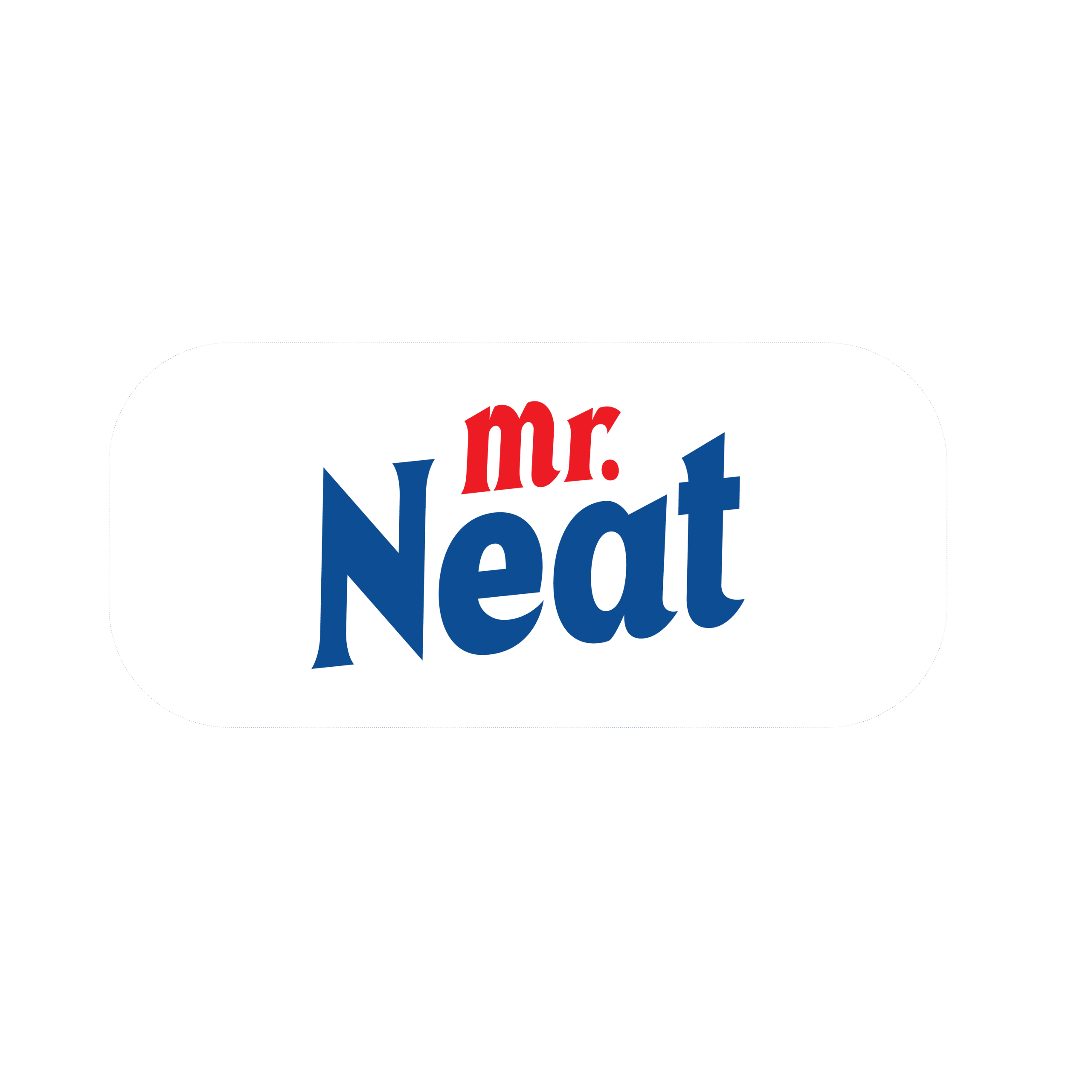 Mr neat
