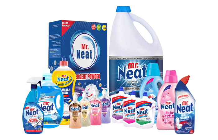 MR NEAT MOCKUP